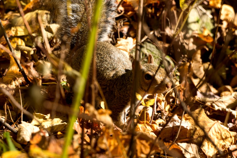 Day 309 - Yes, we can see you.