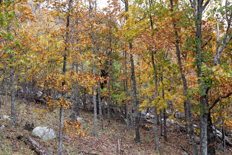 Kennesaw Mountain - October 31st, 2013