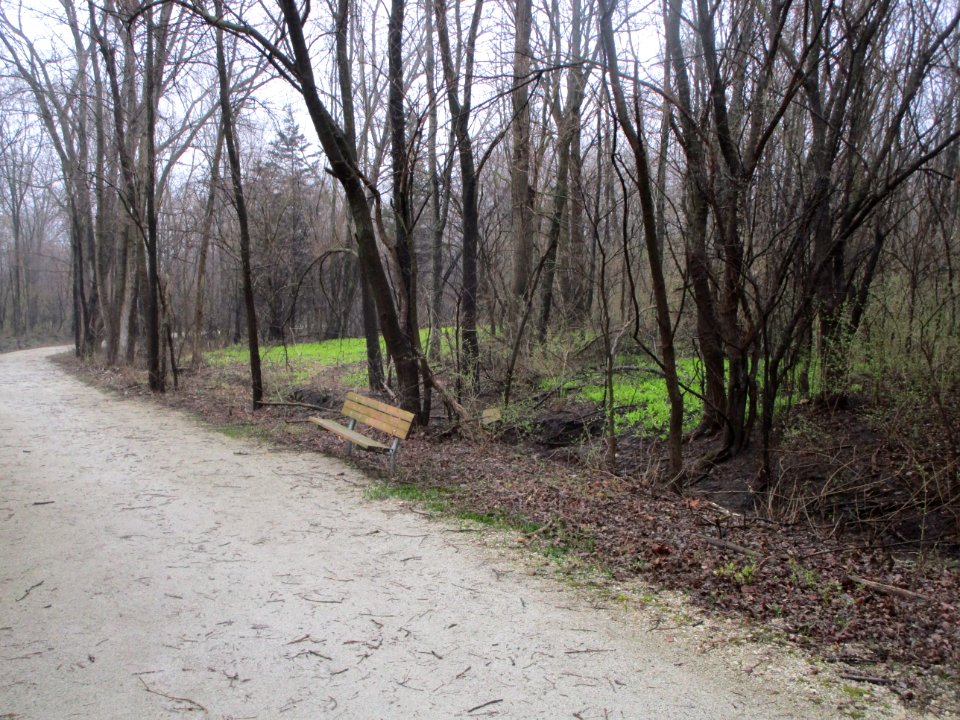 IMG 2821c Gar Creek Trail Kankakee IL 3-25-2017