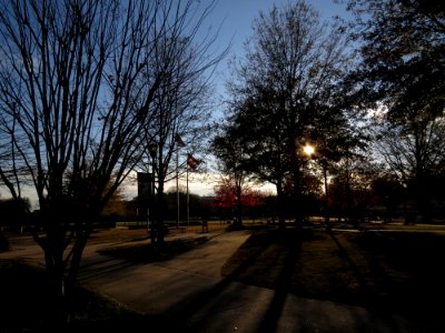 Day 332 - Long Shadows