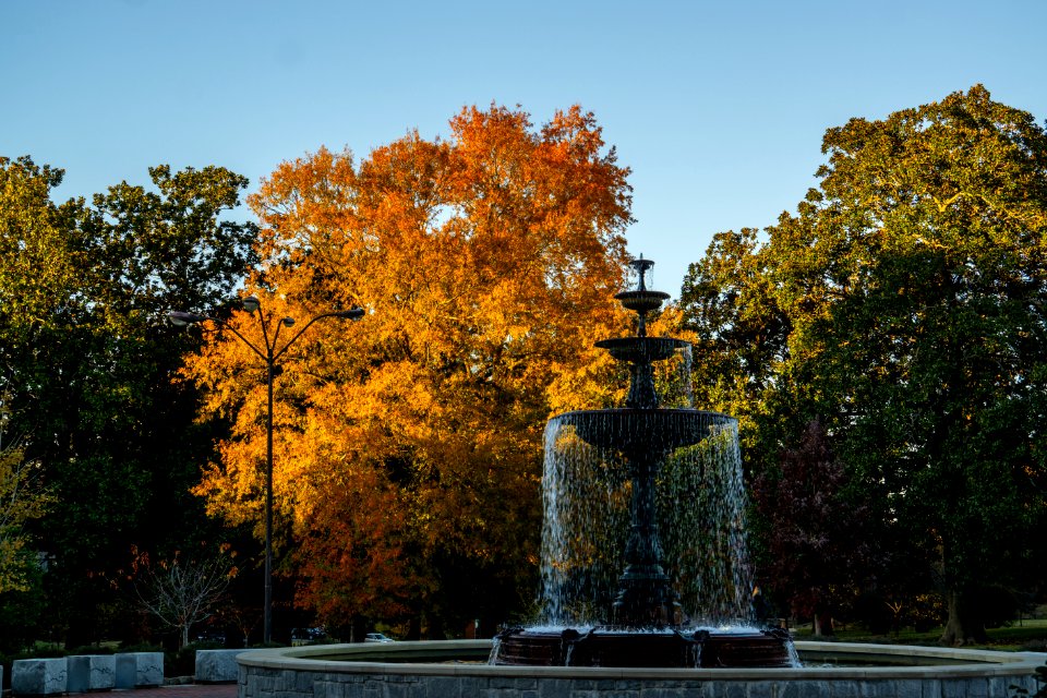 Fall Colors at Tattnall Square Park
