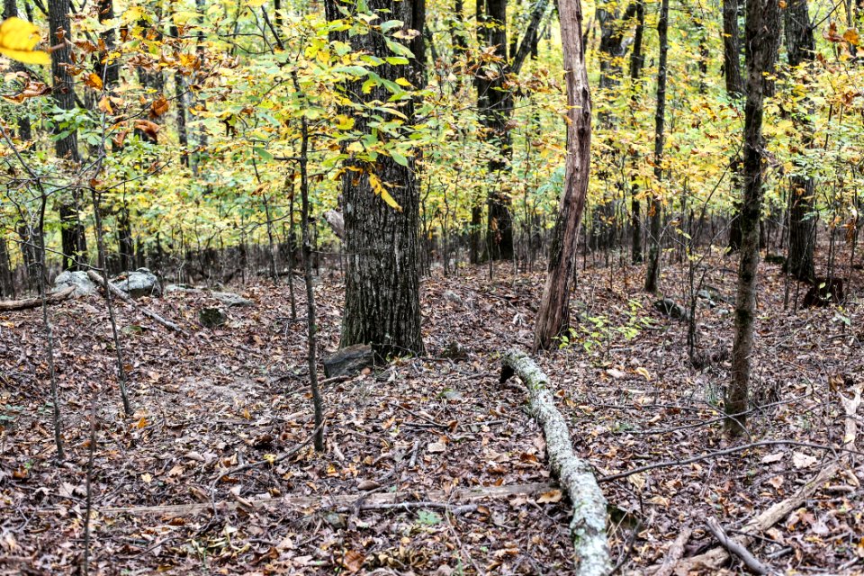 Kennesaw Mountain - October 31st, 2013