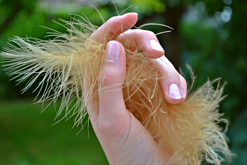 Girl nail polish fingers