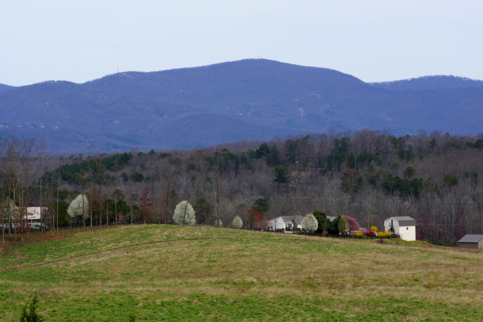 Day 70 - Early Spring in North Georgia