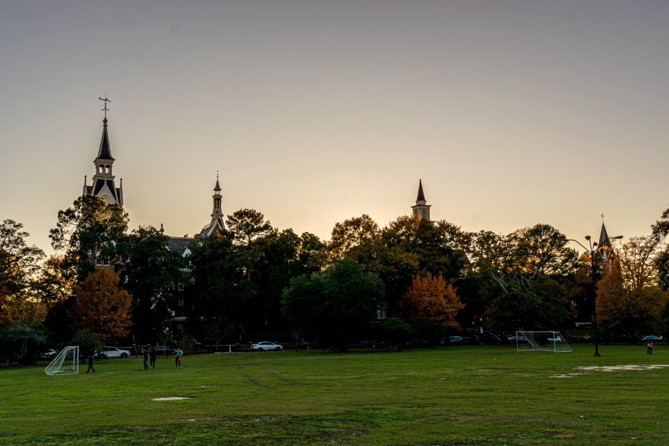 Fall Colors at Tattnall Square Park