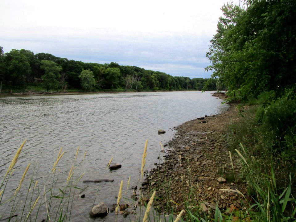 IMG 2994c LeVasseur Park Kankakee IL 6-28-2017