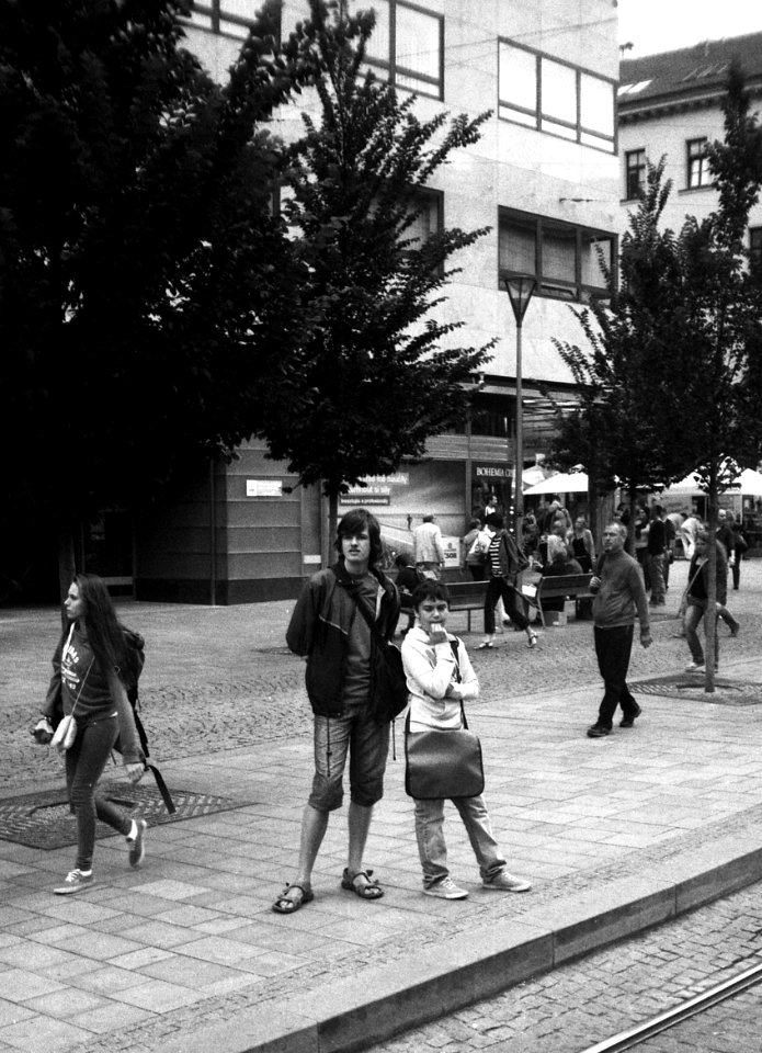 Elikon 35S - From Tram Window 3 photo