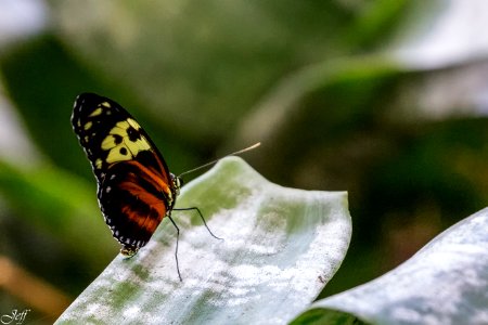Terra botanica Angers Maine et Loire-147