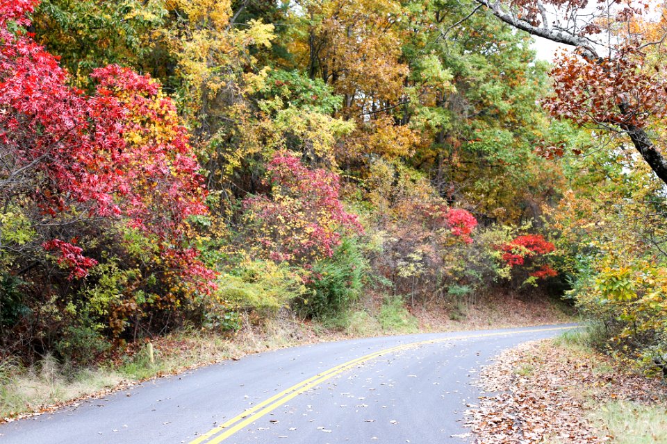 Kennesaw Mountain - October 31st, 2013
