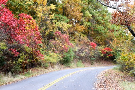 Kennesaw Mountain - October 31st, 2013