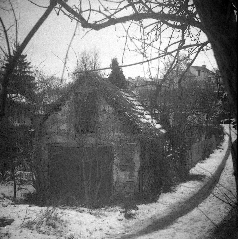 Altix I - Písečník Colony 07