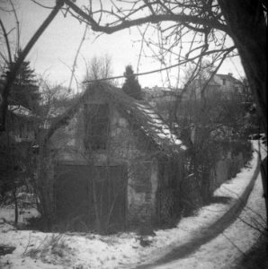 Altix I - Písečník Colony 07