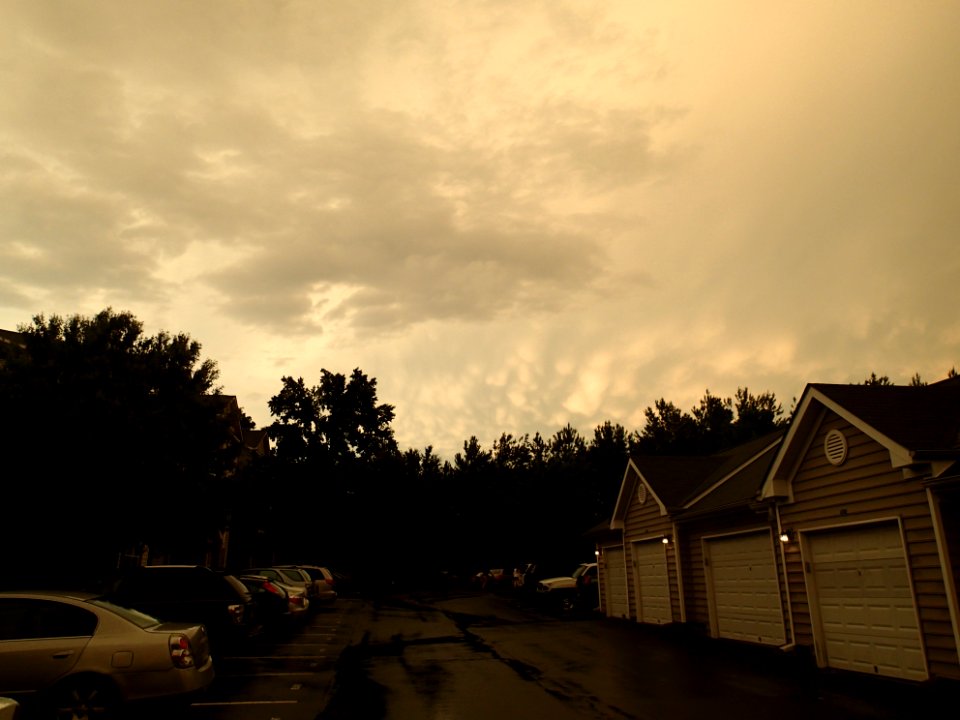 Storm Aftermath in Kennesaw - June 13th, 2013