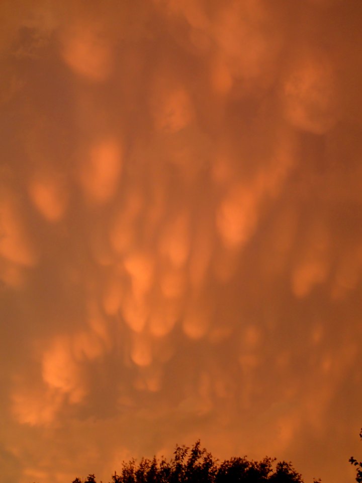 Storm Aftermath in Kennesaw - June 13th, 2013