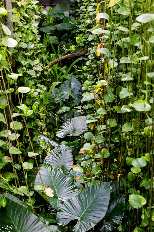 Terra botanica Angers Maine et Loire-135