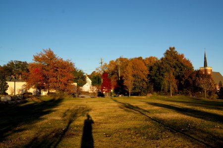 Fall Colors at Tattnall Square Park