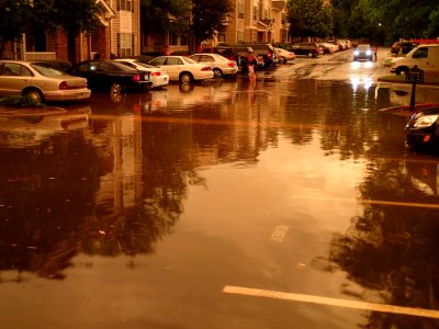 Storm Aftermath in Kennesaw - June 13th, 2013
