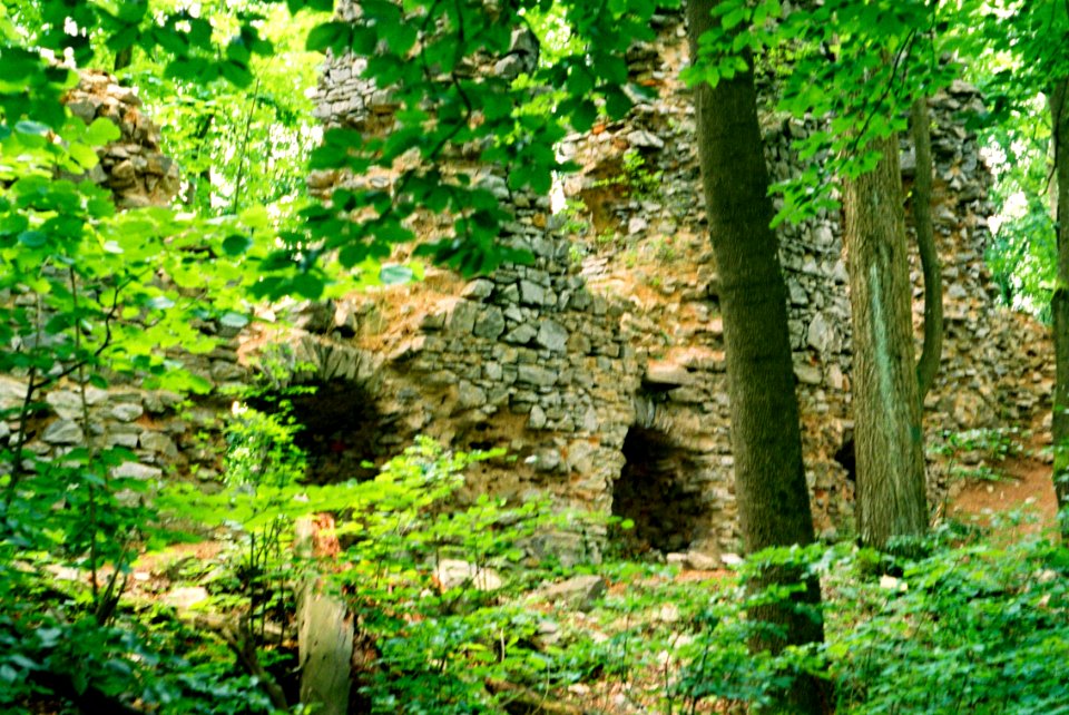 Exa + Tessar 2,8/50 - Ruins of Blansek Castle 3