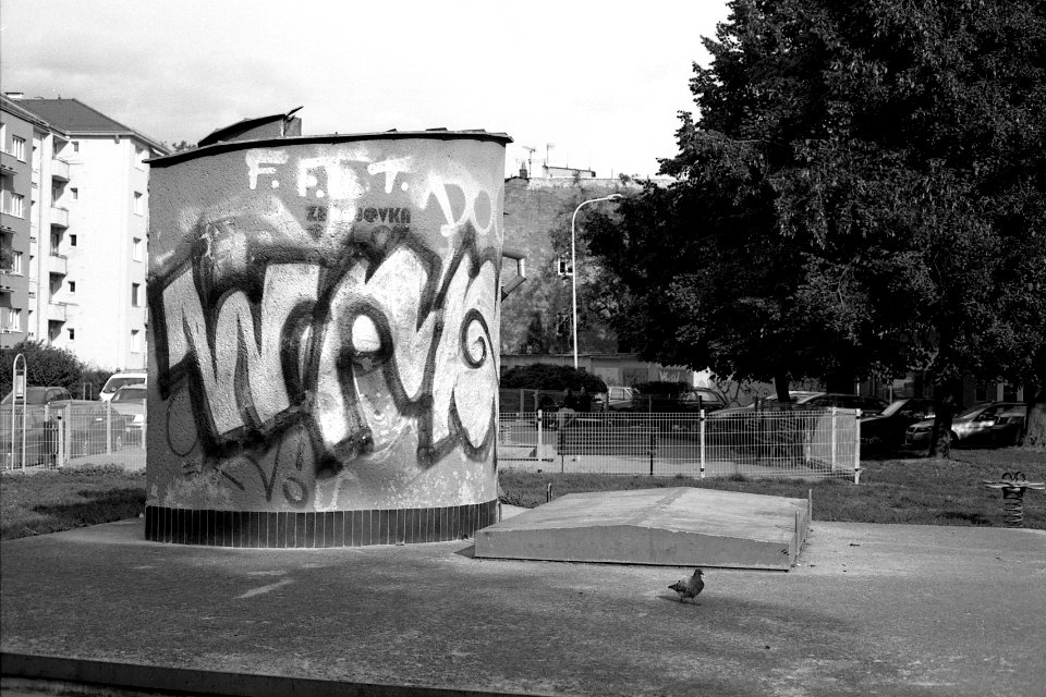 Canon EOS 30 with Canon EF 50mm f/1,8 II - Pigeon and Concrete Structure