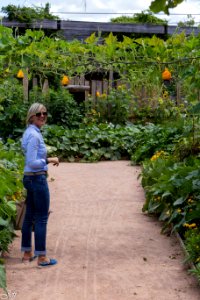 Terra botanica Angers Maine et Loire-19