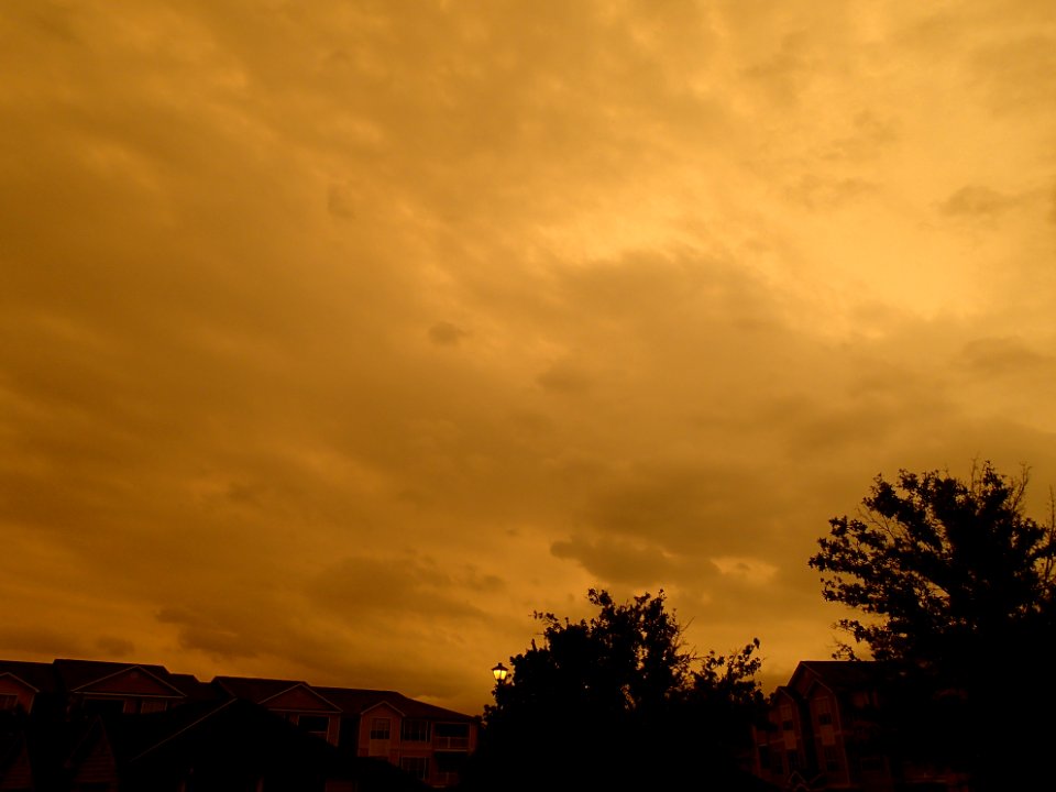 Storm Aftermath in Kennesaw - June 13th, 2013