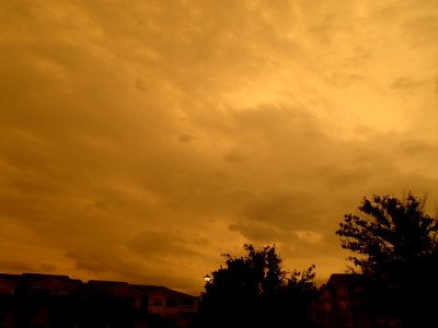 Storm Aftermath in Kennesaw - June 13th, 2013