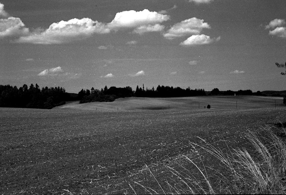 Canon EOS 30 with Canon EF 50mm f/1,8 II - Moravian Karst Landscape 03