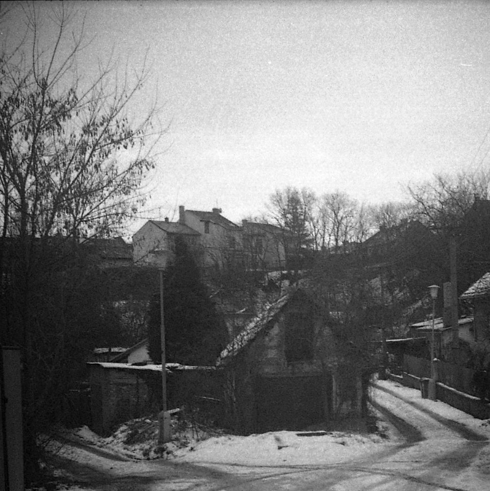 Altix I - Písečník Colony 05