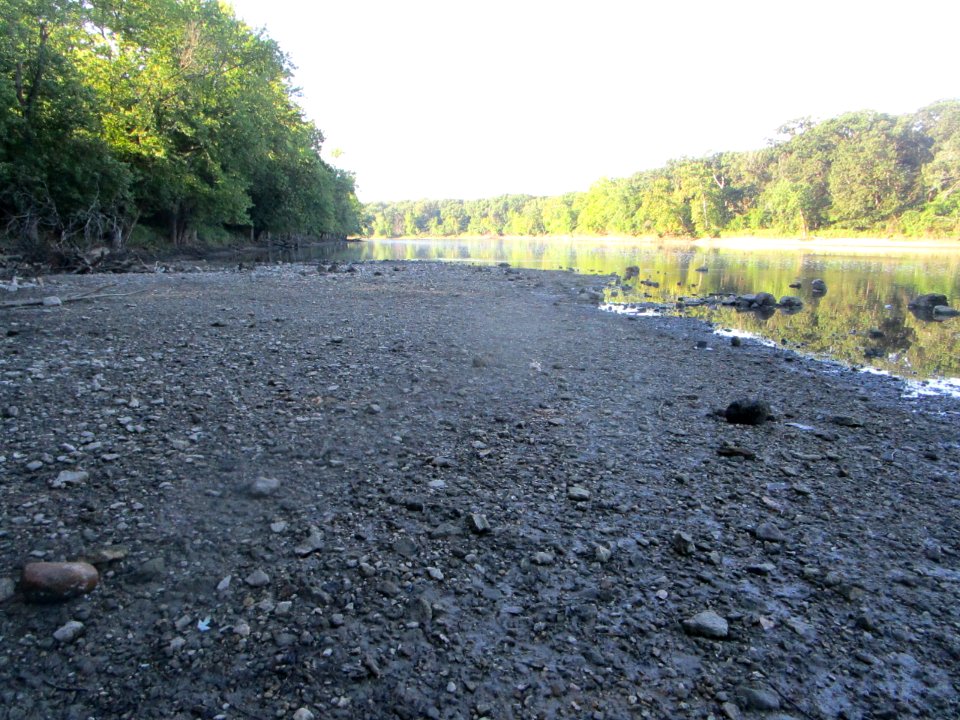 IMG 2299 Kankakee River Perry Farm Kankakee Co IL 8-7-2016