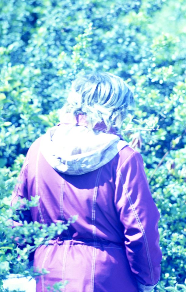 Praktica MTL 5 +  Helios 44-2 2/58 - Woman Looking at a Bush