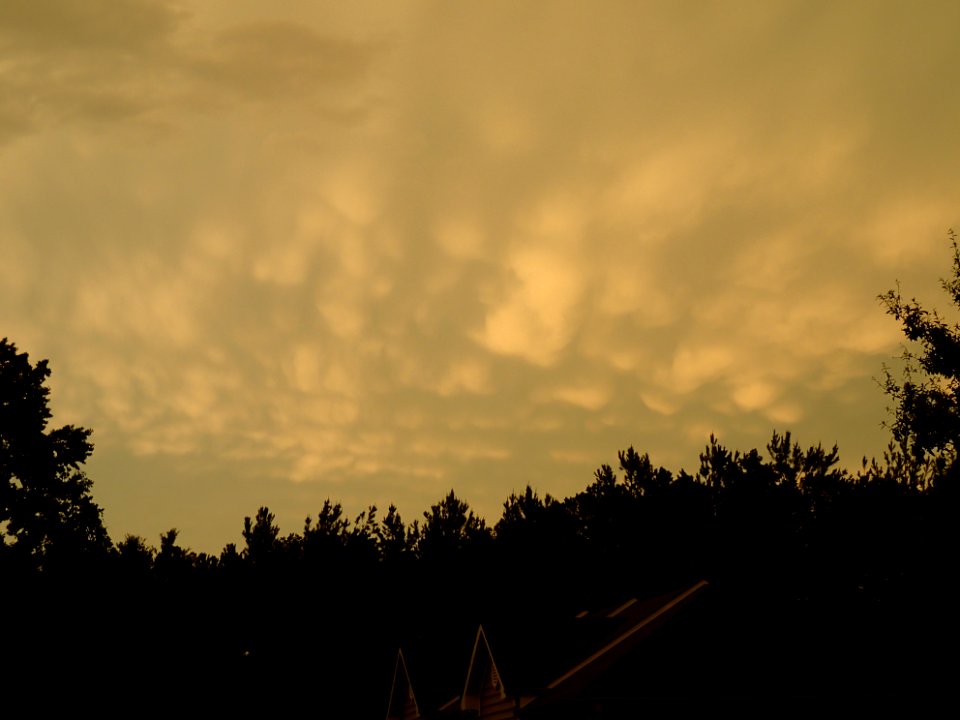 Storm Aftermath in Kennesaw - June 13th, 2013