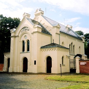 Flexaret 3a - Brno Synagogue 1 photo