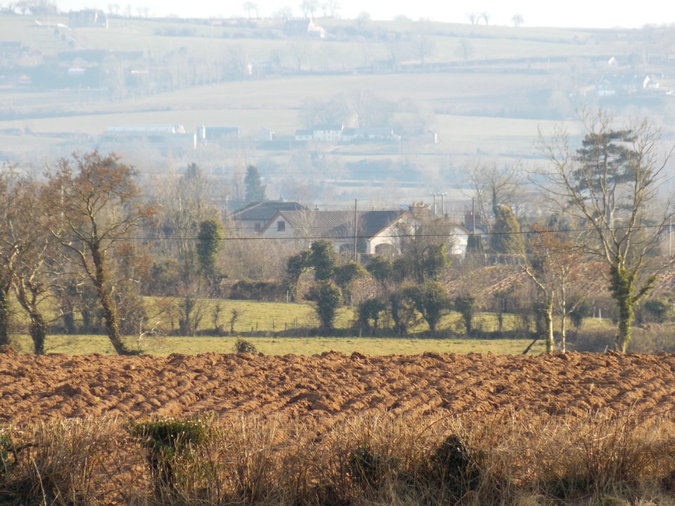 Ploughed field