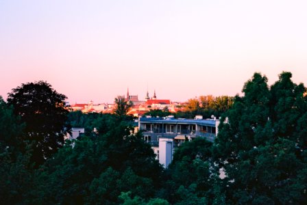 Canon EOS 30 - From My Window 1