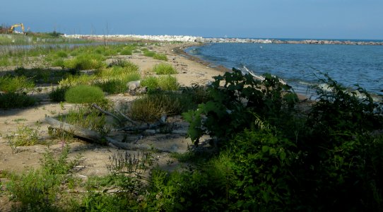 DSCN7708c Samuel Meyer's Park Racine WI 8-18-2016