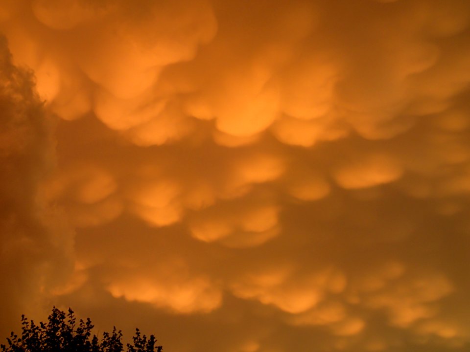 Storm Aftermath in Kennesaw - June 13th, 2013