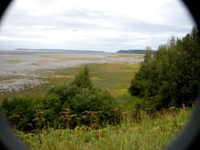 DSCN0590c Carr Gottstein Park Anchorage AK 8-20 2018