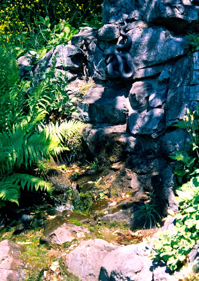 Olympus Mju II - Spring