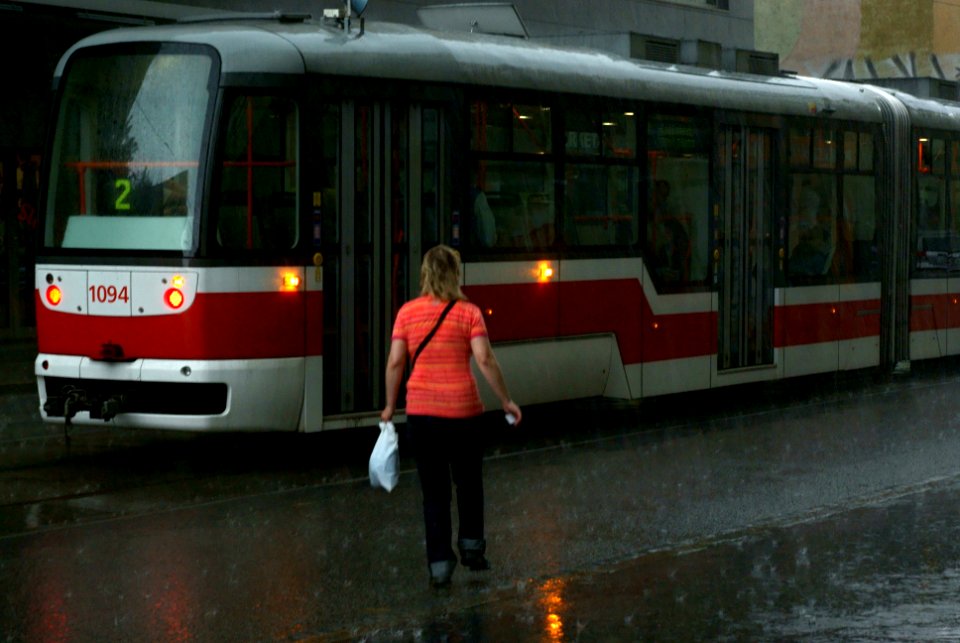 Sony Alpha A230 with Helios-44-2 - Pelting Rain on Hybešova Street 02