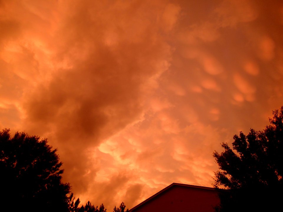 Storm Aftermath in Kennesaw - June 13th, 2013