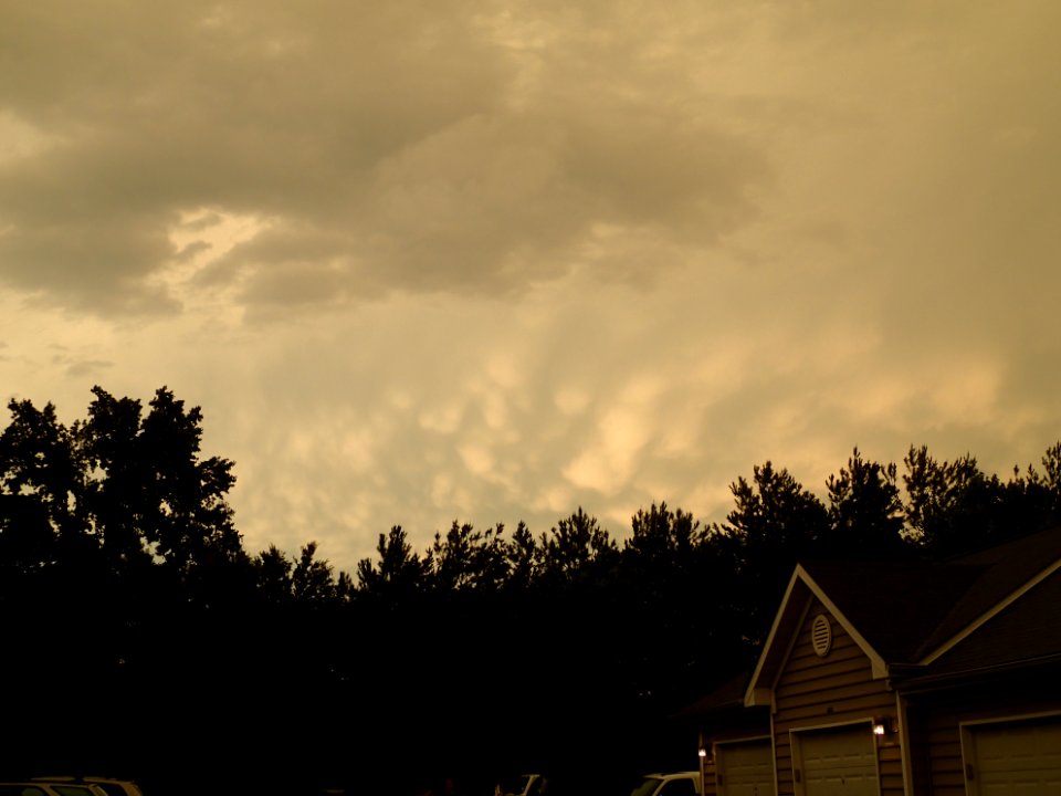 Storm Aftermath in Kennesaw - June 13th, 2013