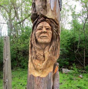 IMG 2164c Tree Carvings Gar Creek Kankakee IL 4-28-2016