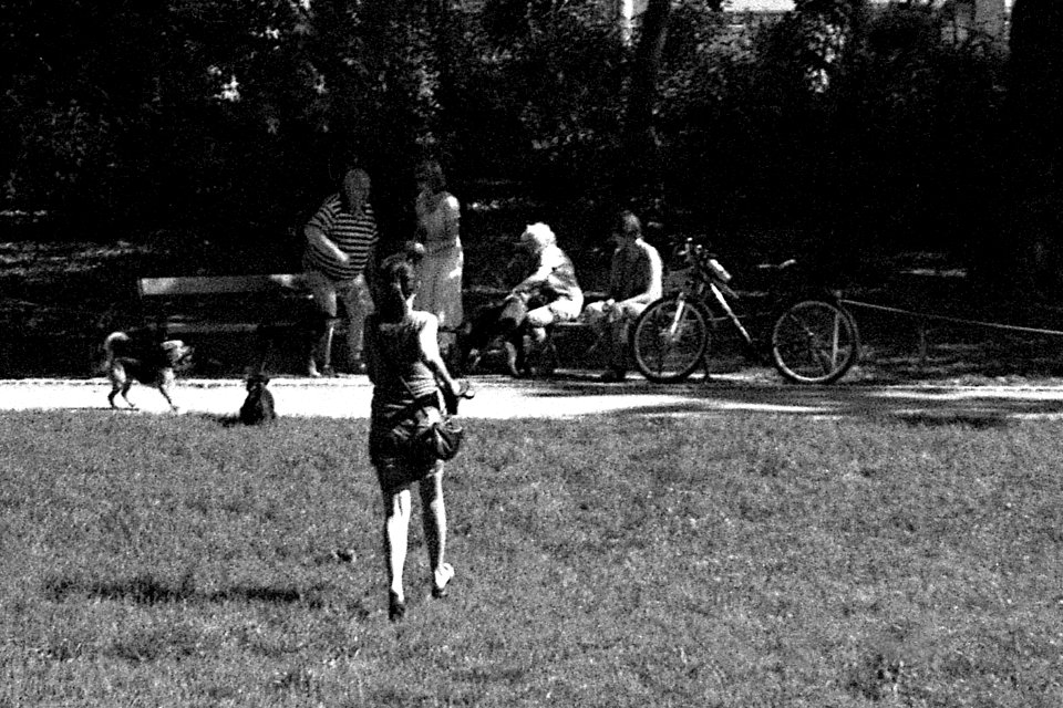 Canon Prima Zoom 80u (Sure Shot 80u) - Dog Crisis in the Park 1