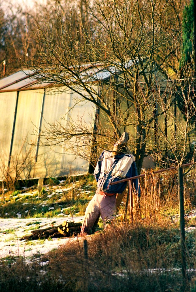 Praktica MTL3 + Pentacon Electric 4/200 MC - Scarecrow 2