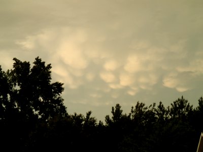 Storm Aftermath in Kennesaw - June 13th, 2013
