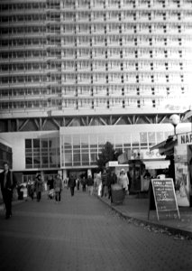 Portrait Brownie No2 - In front of main Building of Bohunice Hospital