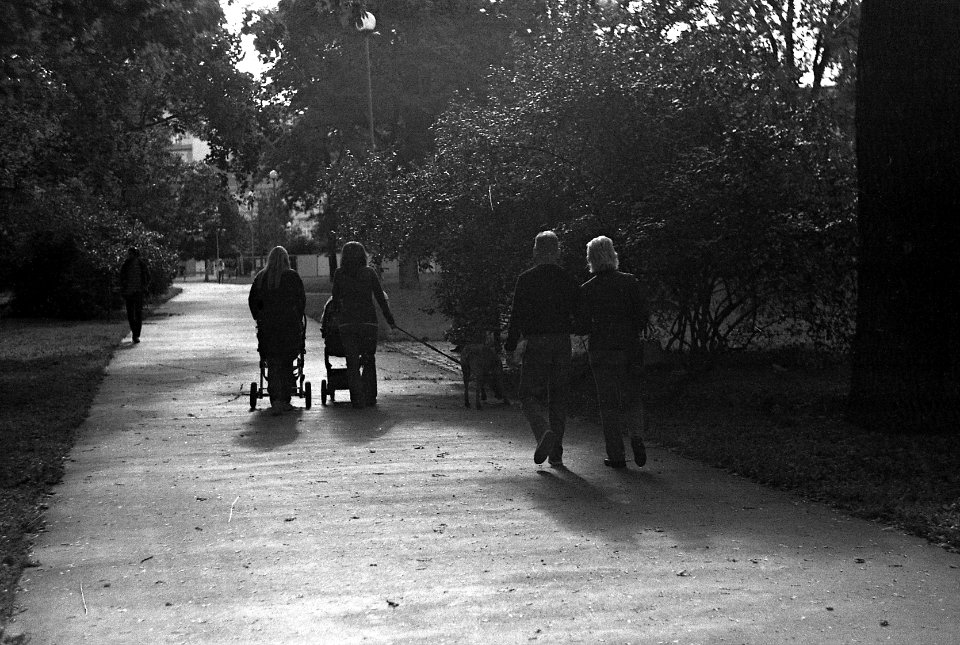 Ricoh TLS 401 with Helios 44-2 - Street Stroll 3