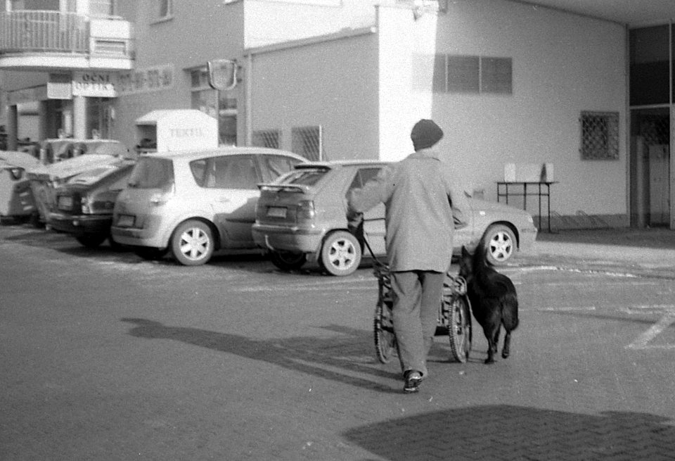Orion EE - Man with Dog