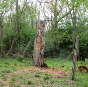 IMG 2160c Tree Carvings Gar Creek Kankakee IL 4-28-2016
