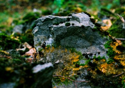 Exa + Tessar 2,8/50 - Transience Cycle